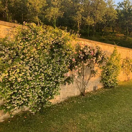 Les Noyers 3* Montjustin